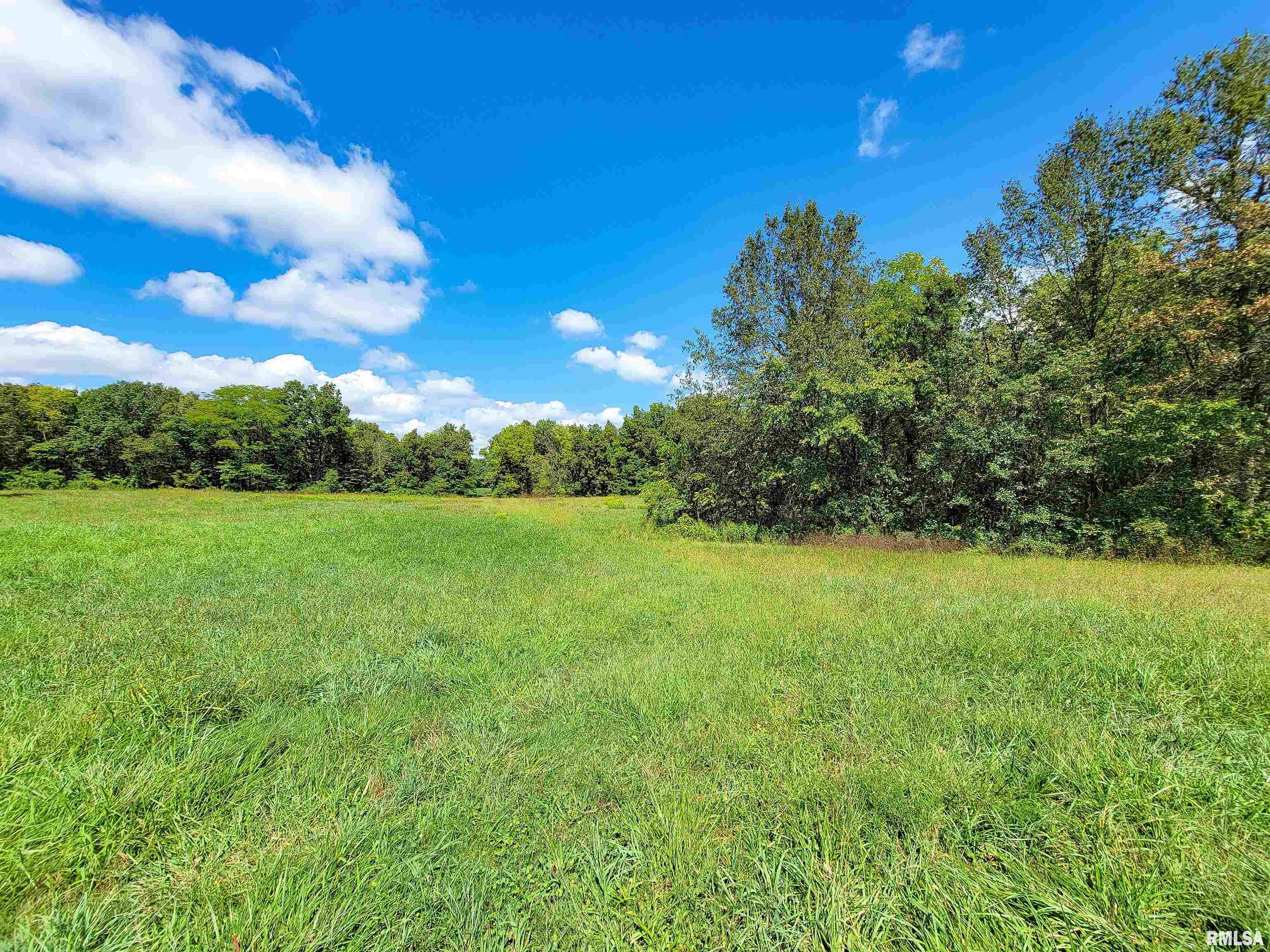 0 Bobwhite Road Louisville, IL 62858 - Photo 10 of 14 Gallery Image 10