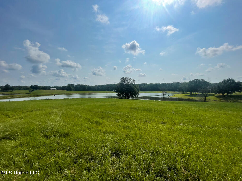 Lot 11 Conner Stringer Drive Lucedale, MS 39452 - Photo 25 of 54 IMG_2295