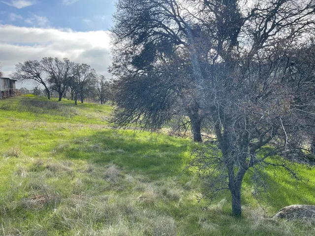 a view of outdoor space with trees all around