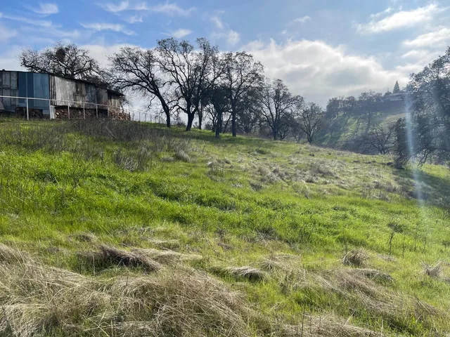 a view of a yard with a fountain