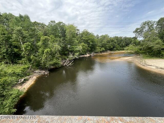 57 Highway 57 Perkinston, MS 39573 - Photo 1 of 30 image25