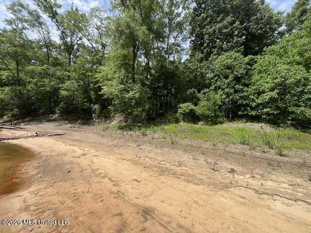 57 Highway 57 Perkinston, MS 39573 - Photo 11 of 30 image9
