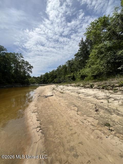 57 Highway 57 Perkinston, MS 39573 - Photo 14 of 30 image13