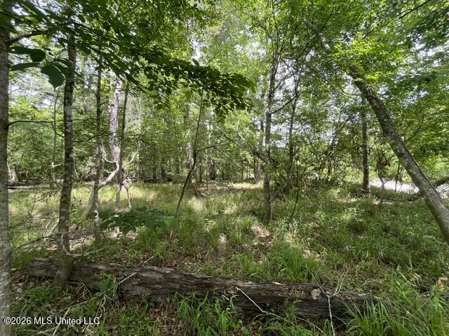57 Highway 57 Perkinston, MS 39573 - Photo 16 of 30 image15