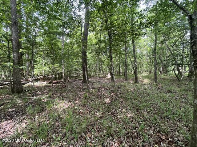 57 Highway 57 Perkinston, MS 39573 - Photo 17 of 30 image17