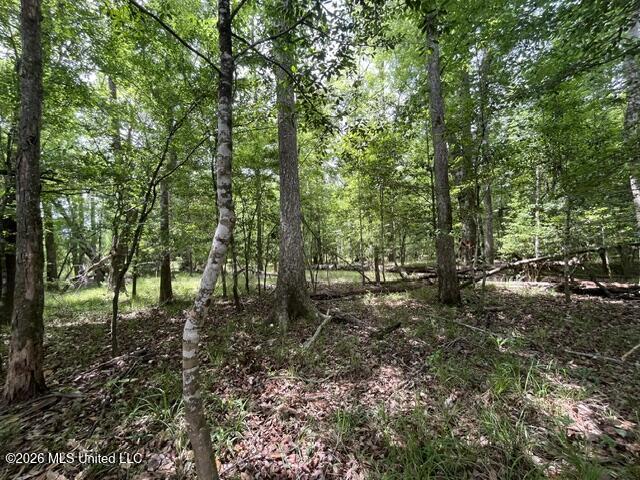 57 Highway 57 Perkinston, MS 39573 - Photo 18 of 30 image18