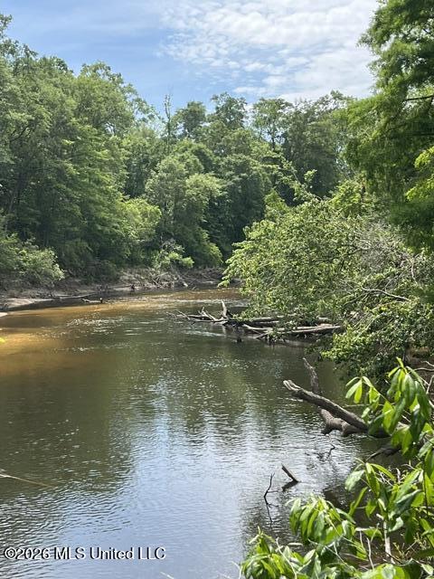 57 Highway 57 Perkinston, MS 39573 - Photo 20 of 30 image20