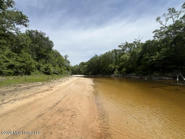 57 Highway 57 Perkinston, MS 39573 - Photo 2 of 30 image11
