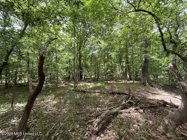 57 Highway 57 Perkinston, MS 39573 - Photo 21 of 30 image21