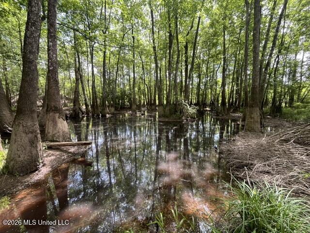 57 Highway 57 Perkinston, MS 39573 - Photo 22 of 30 image22