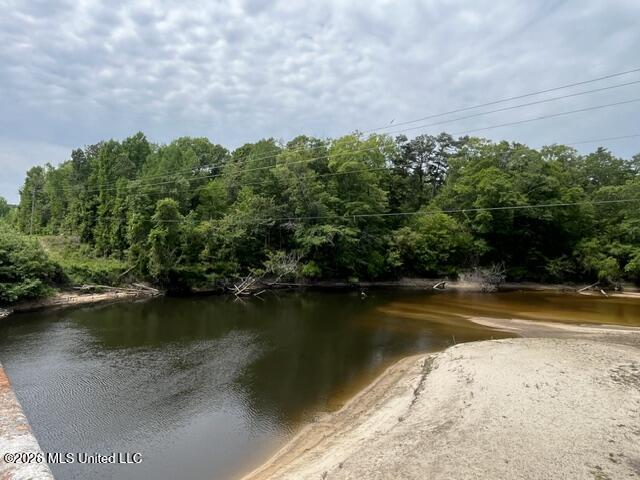 57 Highway 57 Perkinston, MS 39573 - Photo 23 of 30 image23