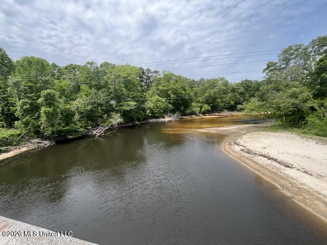 57 Highway 57 Perkinston, MS 39573 - Photo 24 of 30 image24