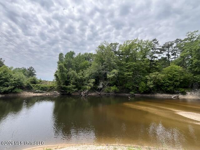 57 Highway 57 Perkinston, MS 39573 - Photo 25 of 30 image27