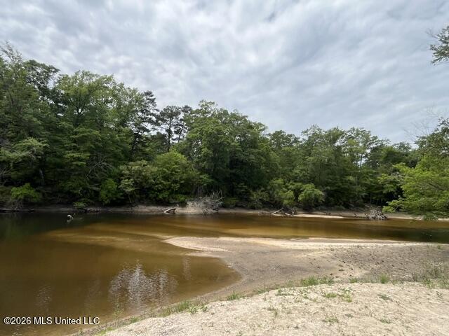 57 Highway 57 Perkinston, MS 39573 - Photo 26 of 30 image28