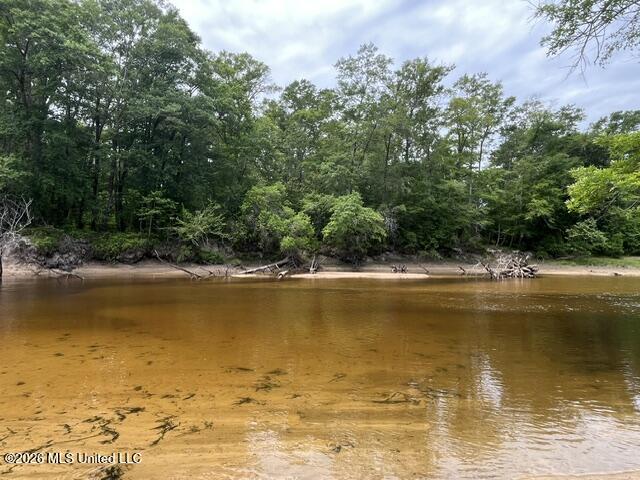 57 Highway 57 Perkinston, MS 39573 - Photo 27 of 30 image29