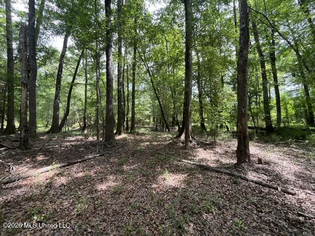 57 Highway 57 Perkinston, MS 39573 - Photo 3 of 30 image1