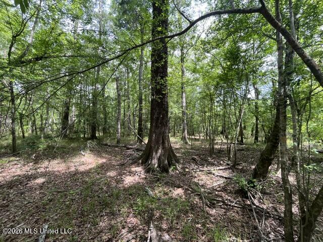 57 Highway 57 Perkinston, MS 39573 - Photo 4 of 30 image2