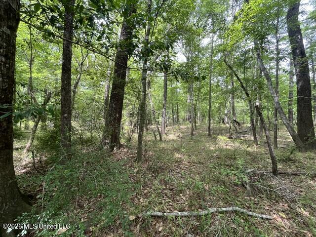 57 Highway 57 Perkinston, MS 39573 - Photo 5 of 30 image3