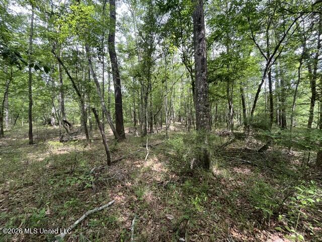 57 Highway 57 Perkinston, MS 39573 - Photo 6 of 30 image4