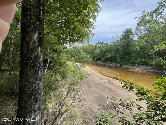57 Highway 57 Perkinston, MS 39573 - Photo 7 of 30 image5