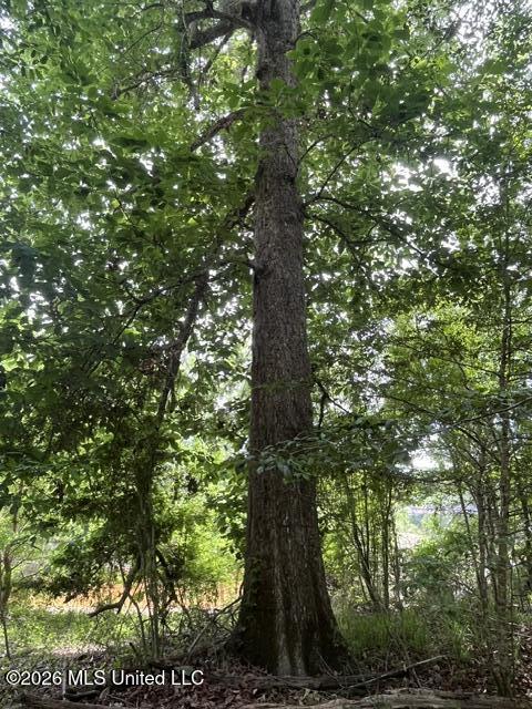 57 Highway 57 Perkinston, MS 39573 - Photo 8 of 30 image6