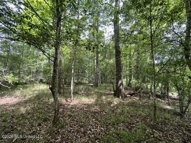57 Highway 57 Perkinston, MS 39573 - Photo 9 of 30 image7