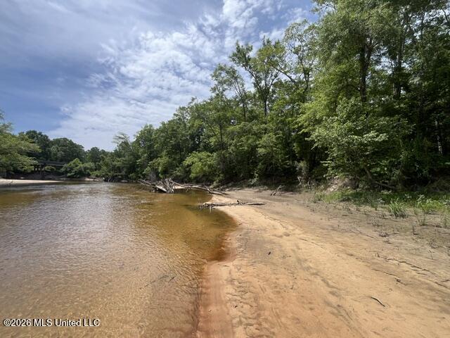 57 Highway 57 Perkinston, MS 39573 - Photo 10 of 30 image8