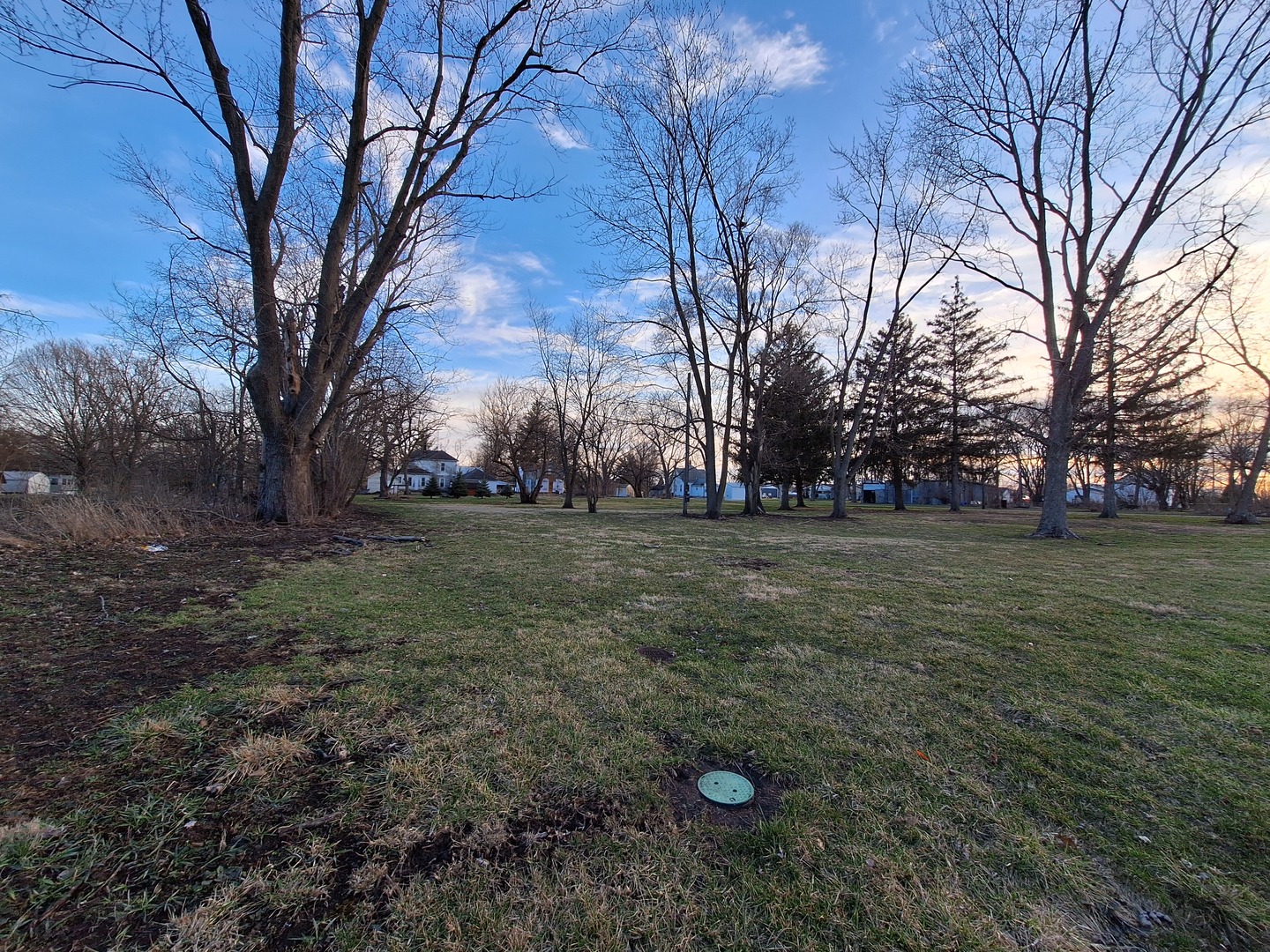 a view of outdoor space with trees