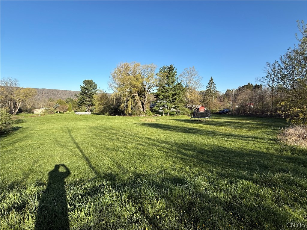 5032 Skinner Hill Road Moravia, NY 13118 - Photo 32 of 37