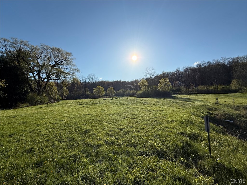 5032 Skinner Hill Road Moravia, NY 13118 - Photo 34 of 37