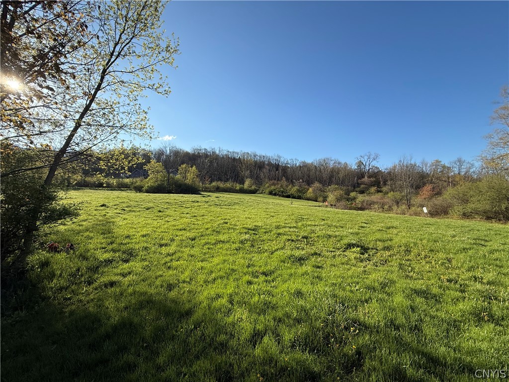 5032 Skinner Hill Road Moravia, NY 13118 - Photo 36 of 37
