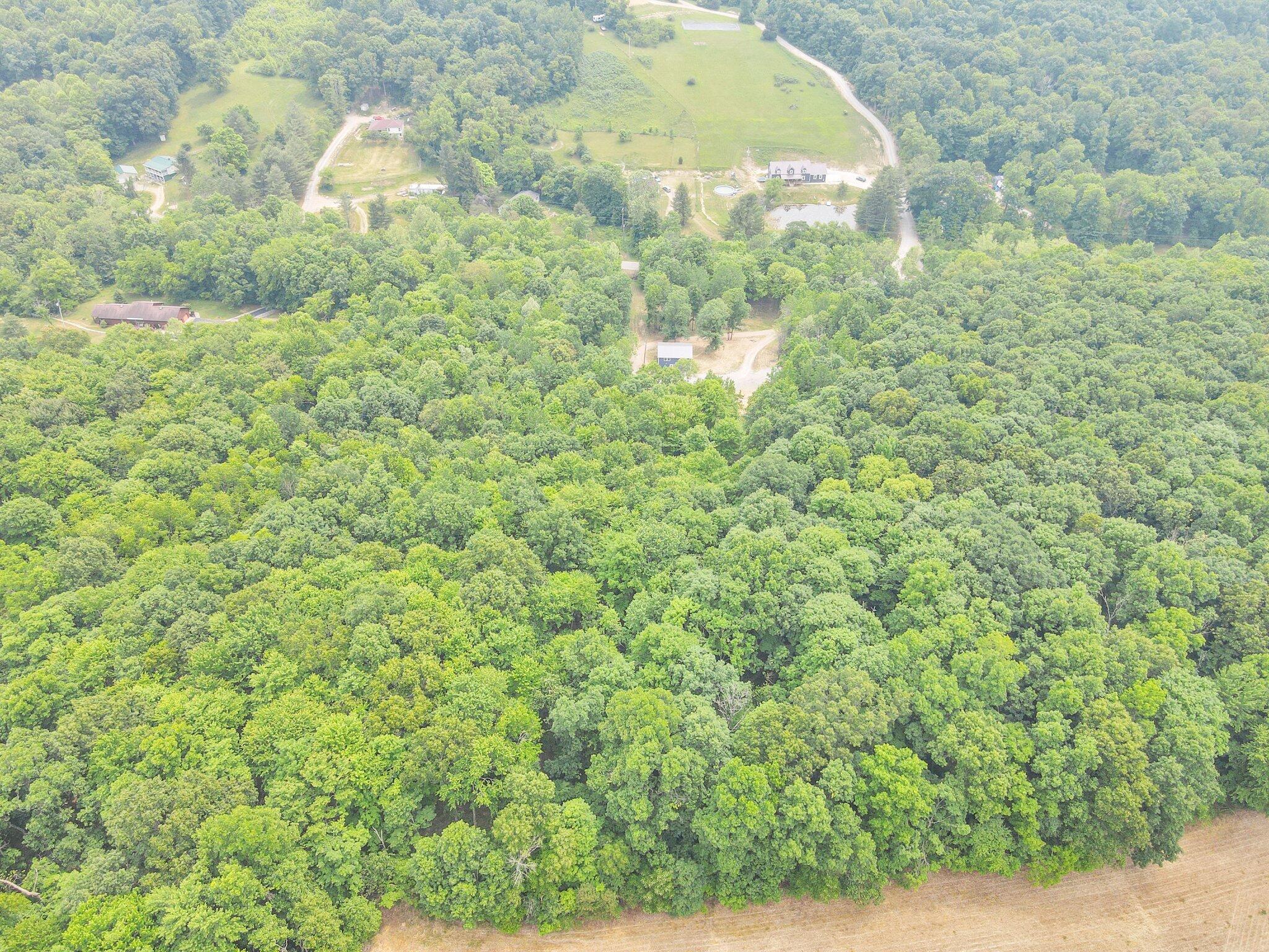 3997 Clines Chapel Road Waverly, OH 45690 - Photo 38 of 40 39-web-or-mls-DJI_0770