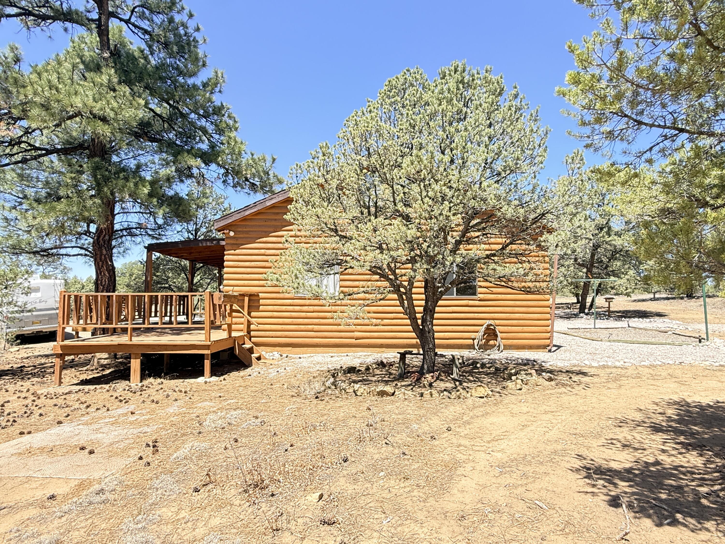 994 Wild Horse Ranch Road Pie Town, NM 87827 - Photo 6 of 70 Gallery Image 6