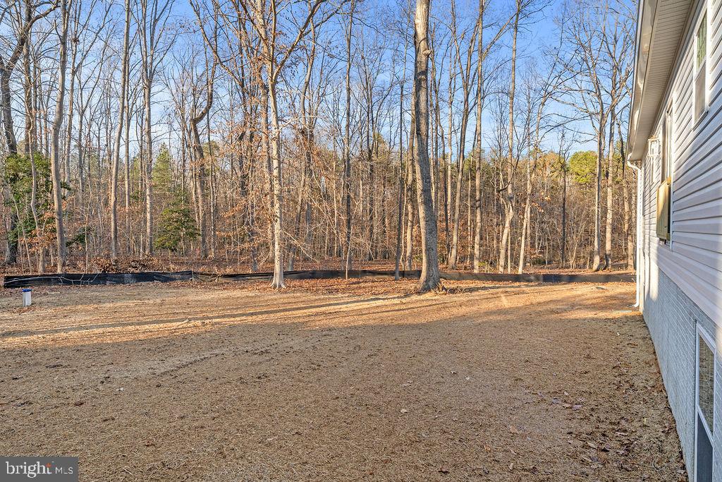 1339 Moody Town Road Bumpass, VA 23024 - Photo 59 of 63 a view of a house with a yard and tree s