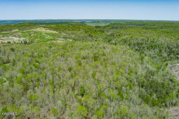 Charlie Doss Road Jamestown, TN 38556 - Photo 31 of 45 Charlie Doss Rd pic 28