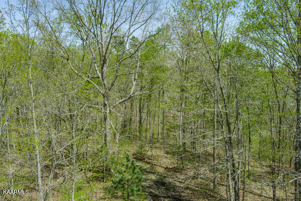 Charlie Doss Rd pic 1