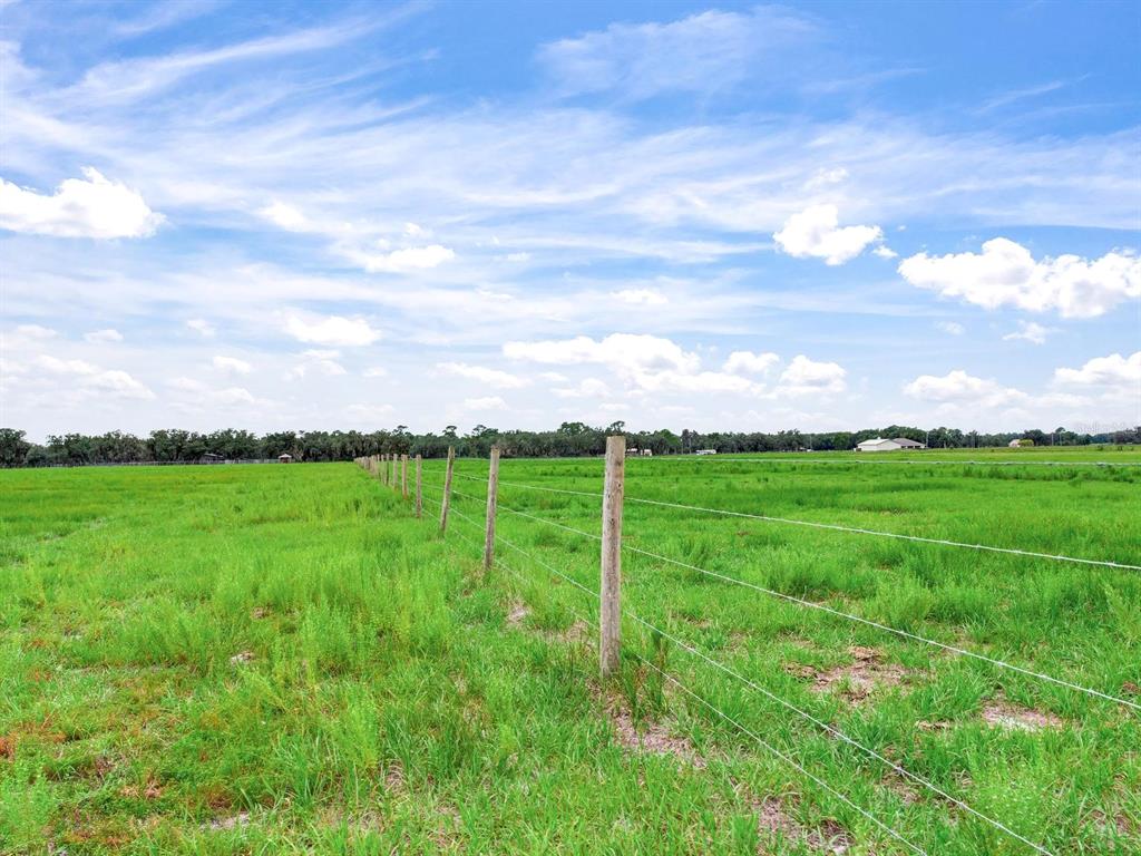 Lake Buffum Road North Lake Wales, FL 33859 - Photo 14 of 23 Gallery Image 14