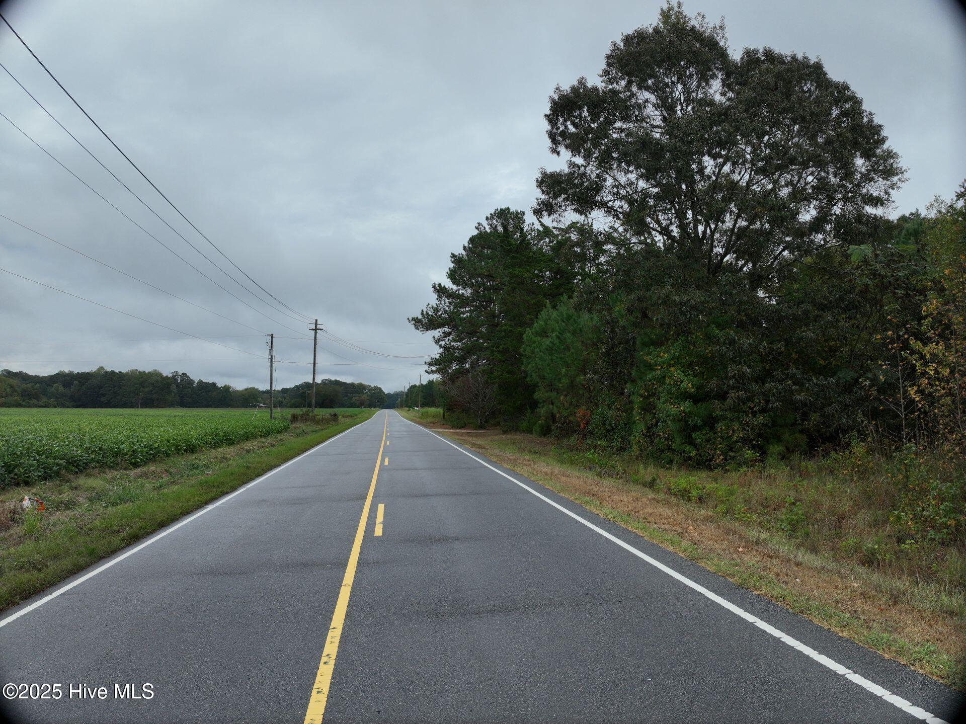 0 Red Oak Battleboro Road Battleboro, NC 27809 - Photo 8 of 47 8_photo--red-oak-battleboro-road