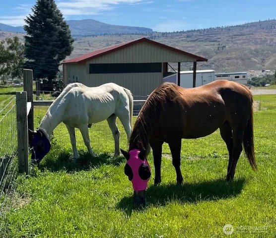 a front view of a house with a garden and trees