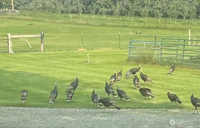 a view of a backyard with chairs and potted plants