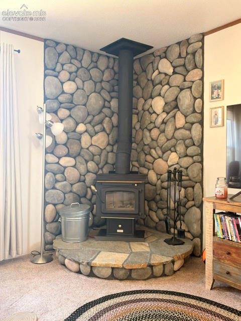 8084 Oak Drive Rye, CO 81069 - Photo 21 of 39 Wood Burning stove