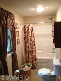 11401 North Sheridan Road Edmore, MI 48829 - Photo 6 of 11 Additional Photo