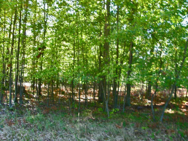 South County Line Road Manistee, MI 49660 - Photo 6 of 24 Picture 004