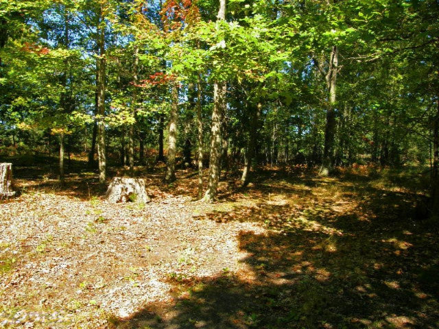 South County Line Road Manistee, MI 49660 - Photo 10 of 24 Picture 008