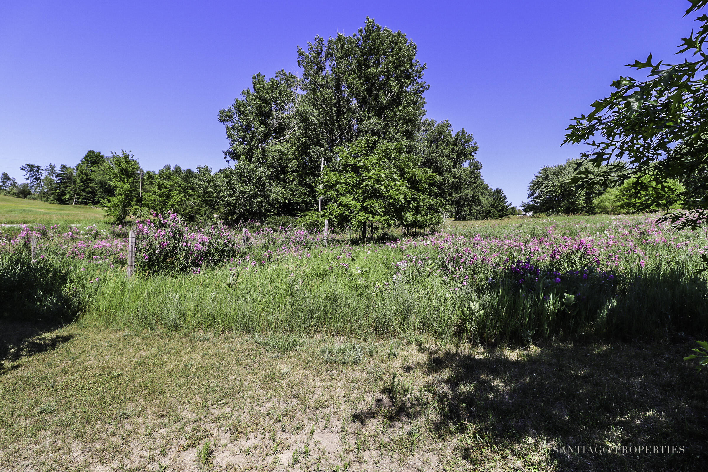 7291 Helena Road Alden, MI 49612 - Photo 53 of 79 7291 Helena Rd_63