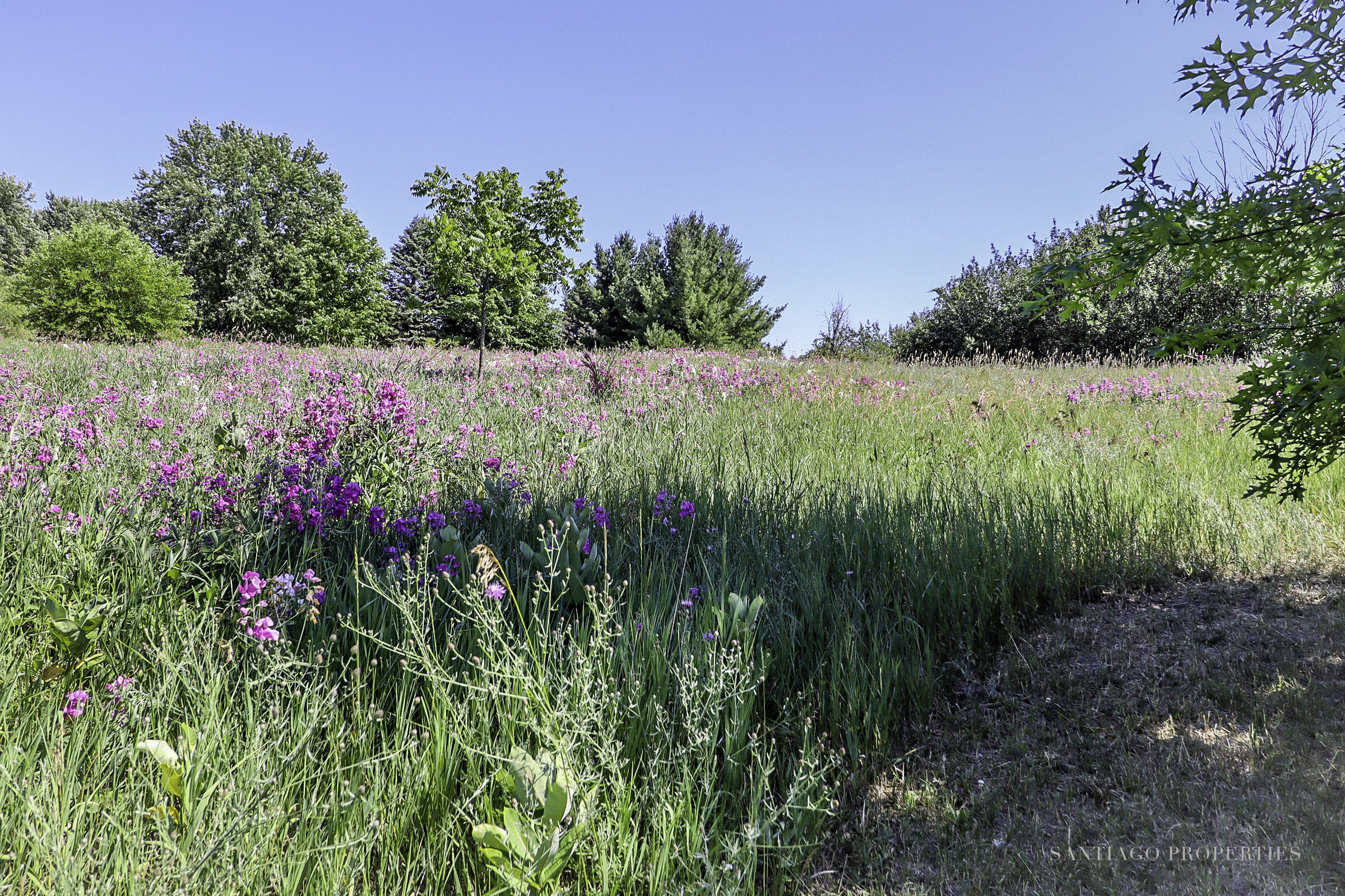 7291 Helena Road Alden, MI 49612 - Photo 54 of 79 7291 Helena Rd_64