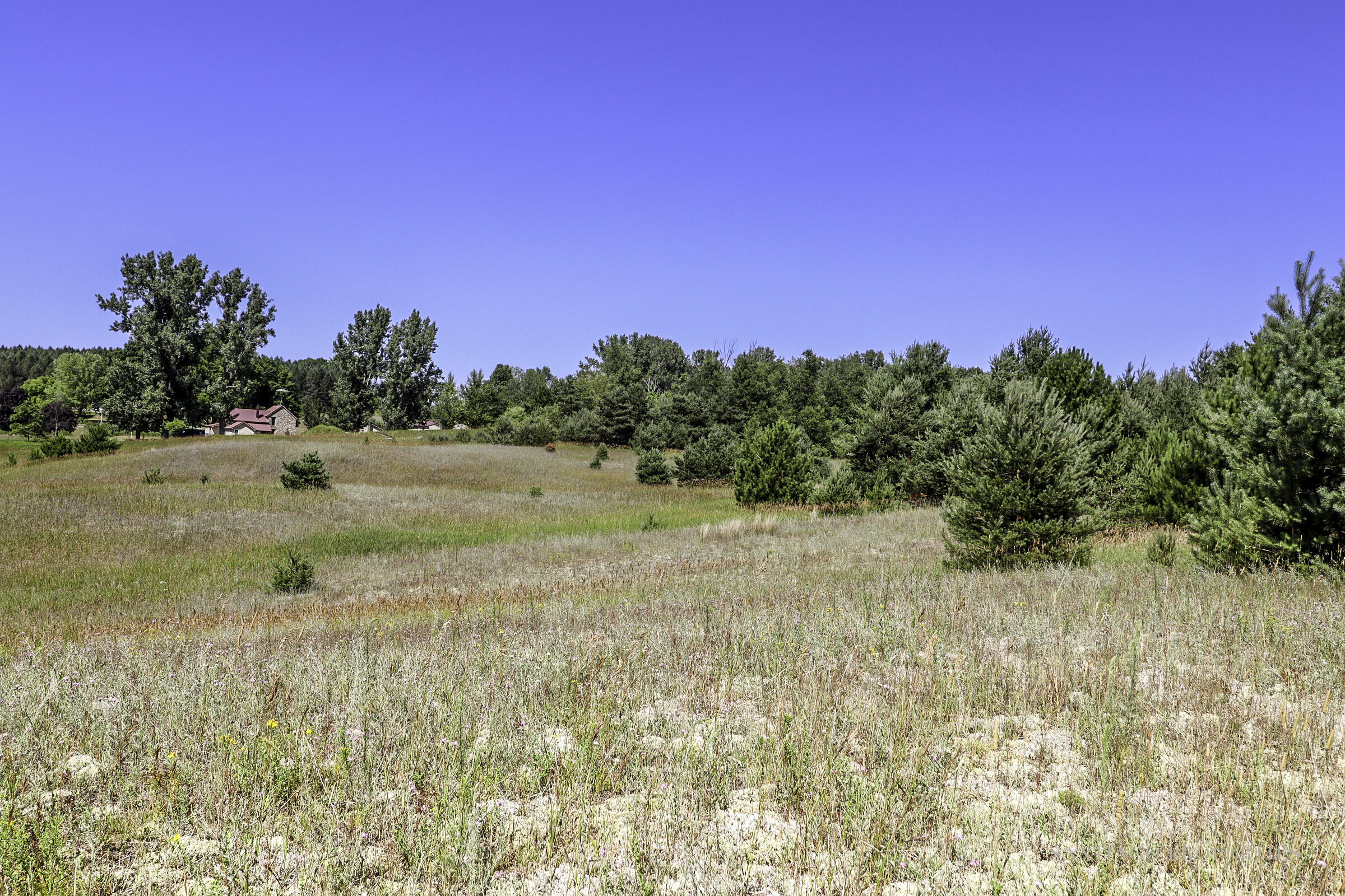 7291 Helena Road Alden, MI 49612 - Photo 56 of 79 7291 Helena Rd_61