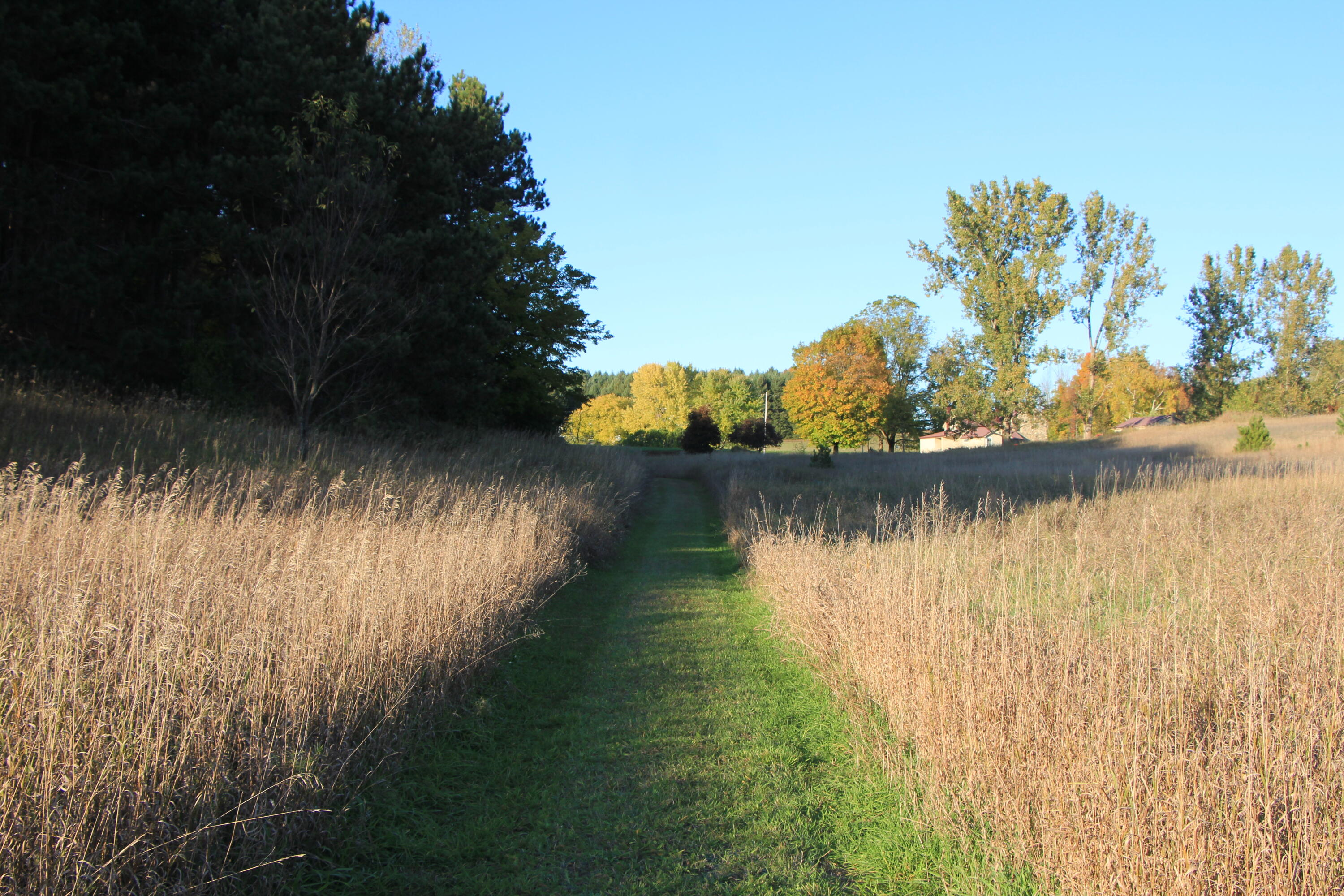 7291 Helena Road Alden, MI 49612 - Photo 65 of 79 7291 Helena Rd