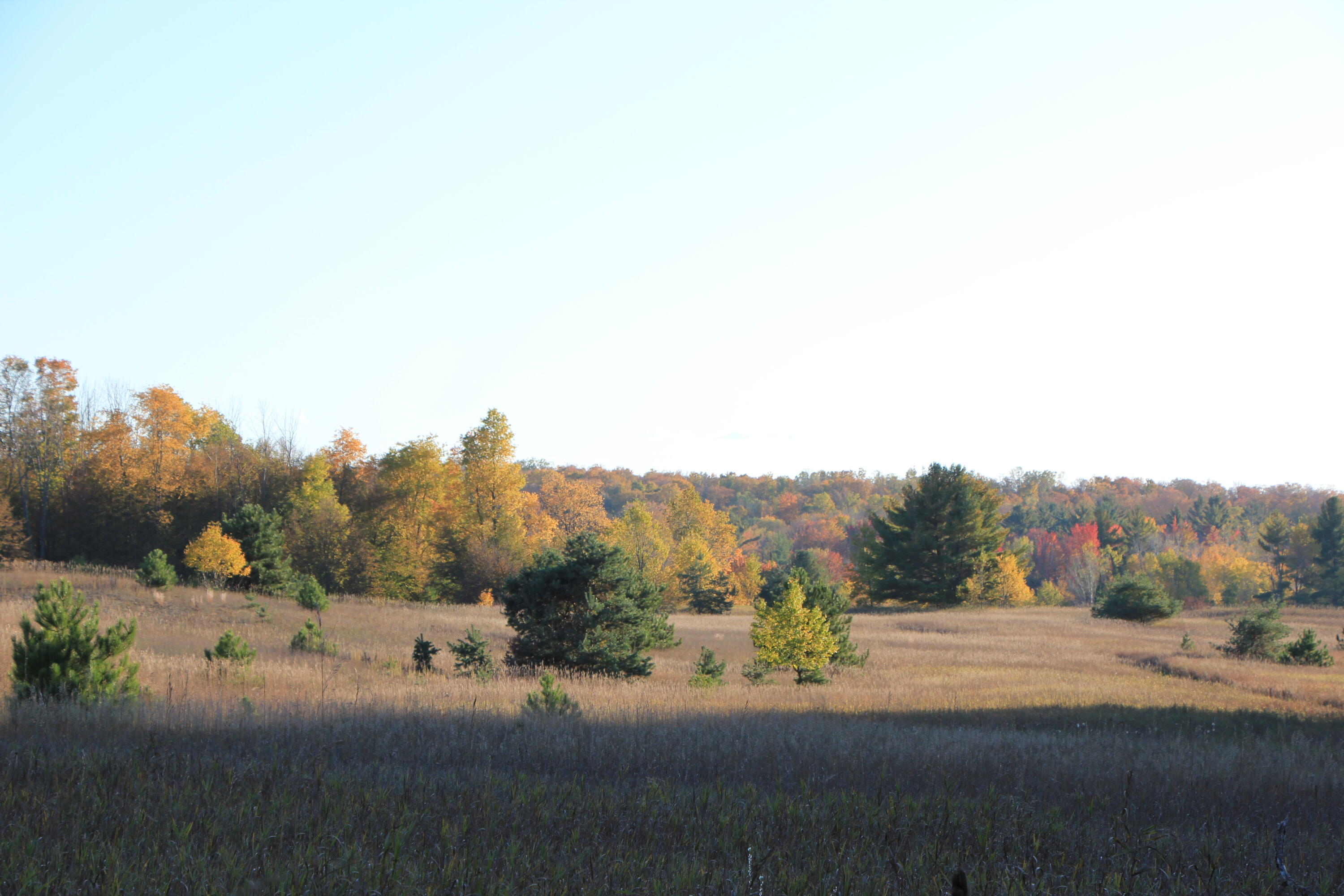 7291 Helena Road Alden, MI 49612 - Photo 66 of 79 7291 Helena Rd