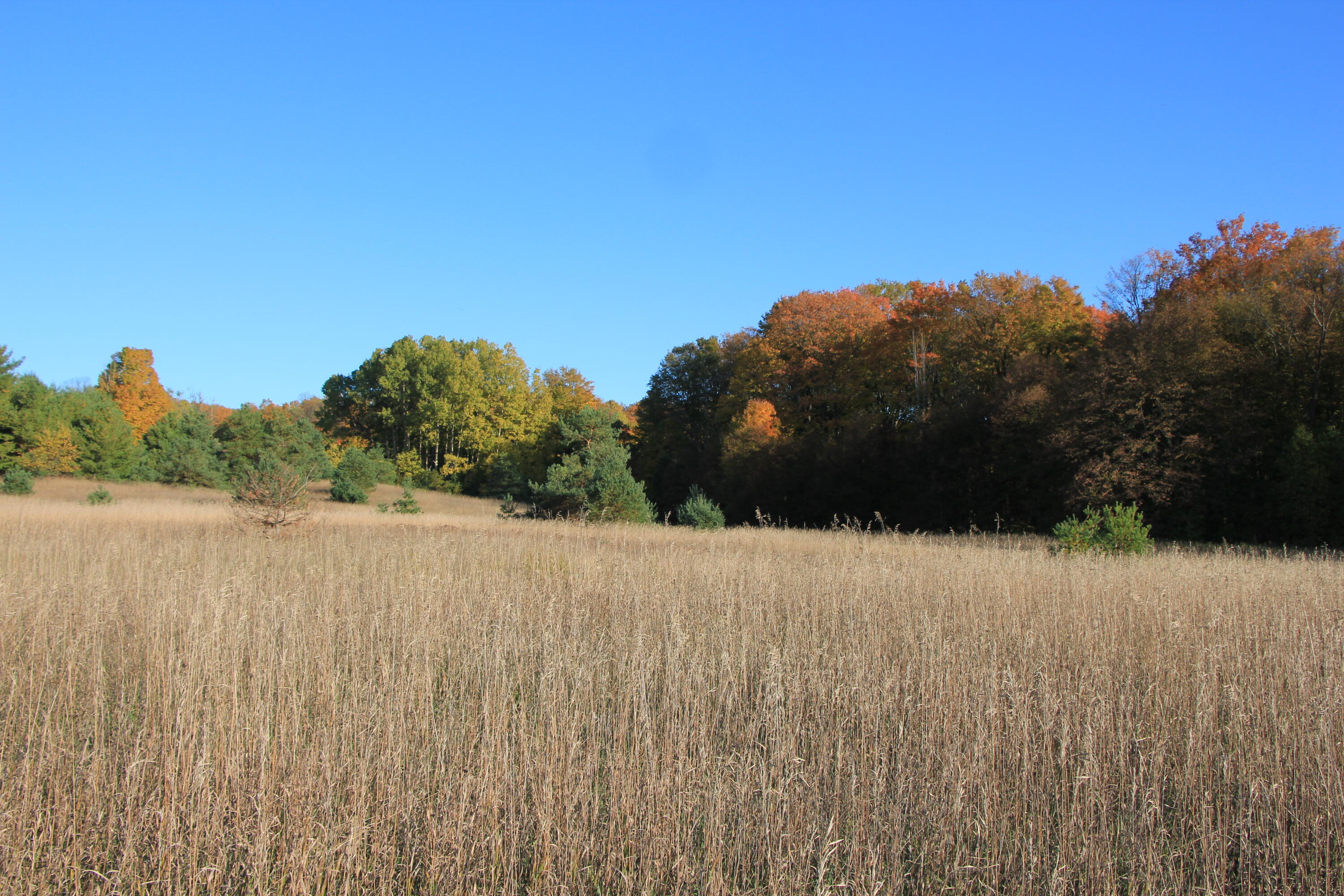 7291 Helena Road Alden, MI 49612 - Photo 68 of 79 7291 Helena Rd